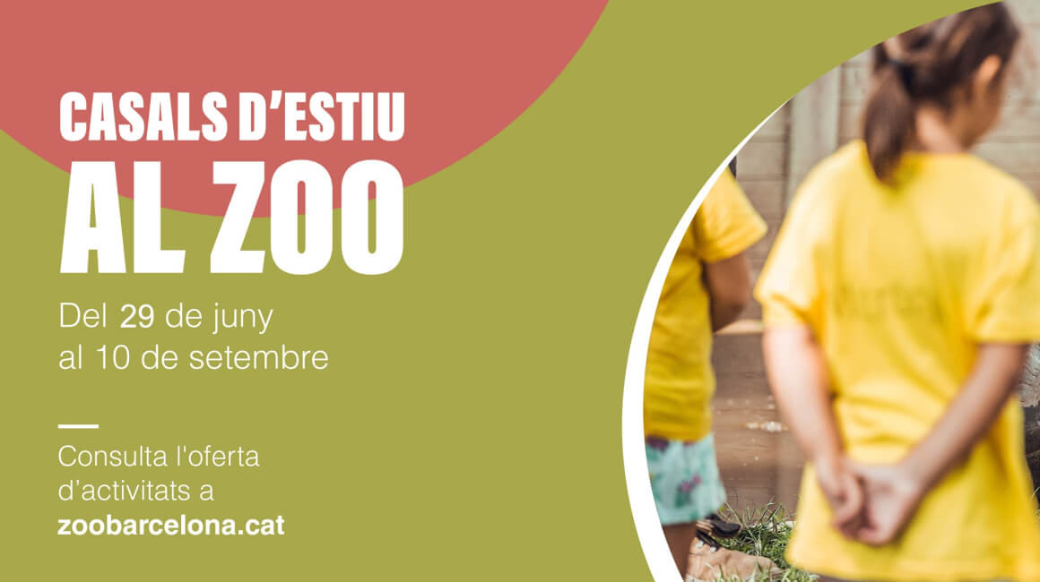 zoo barcelona-gallery
