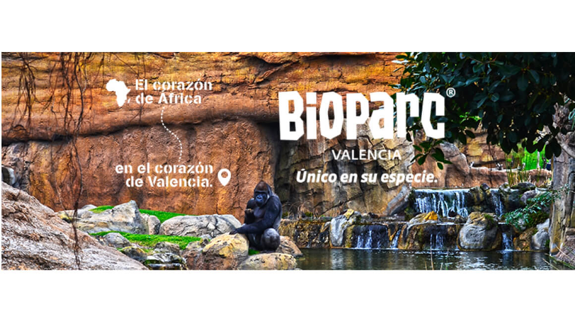 bioparc valencia-gallery