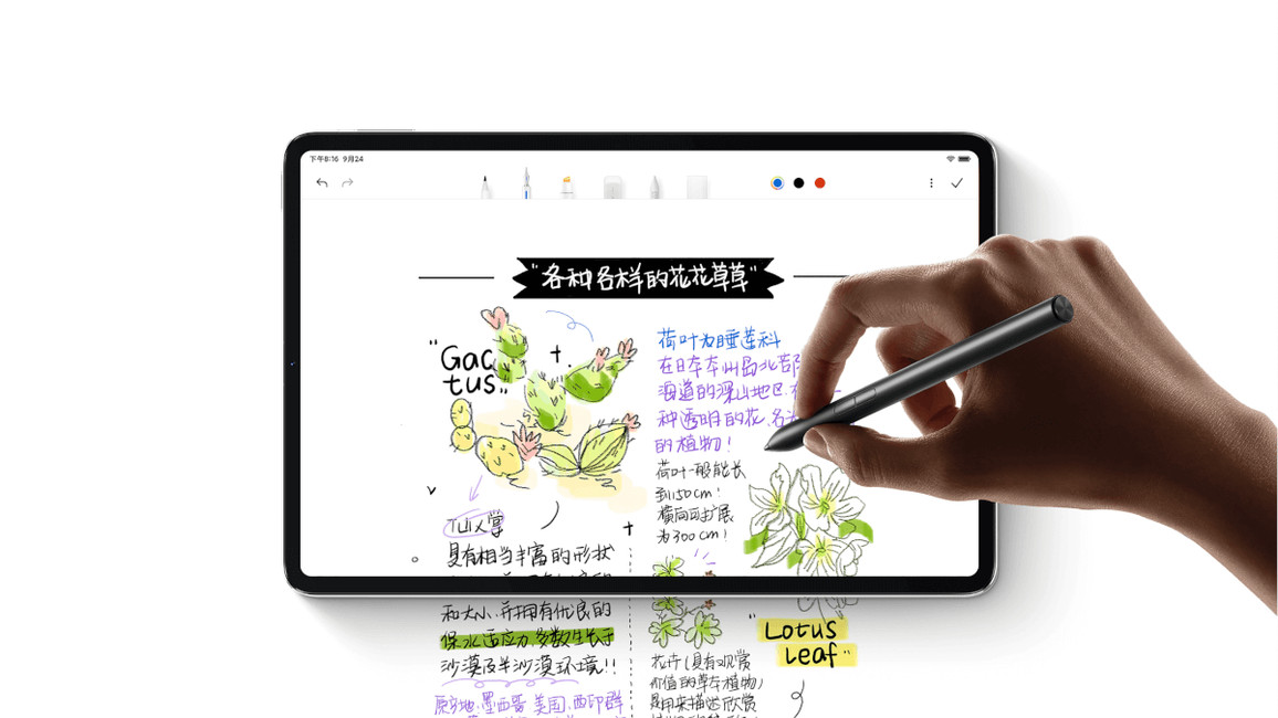Xiaomi Mi Pad 5 Pro 12.4 8GB+128GB Negro ROM Original (inglés + chino),  posibles aplicaciones de Google