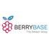 Códigos Berrybase