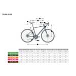 VAN RYSEL Bicicleta Carretera/Cicloturismo Triban RC500 con grupo Shimano Sora/Prowheel.