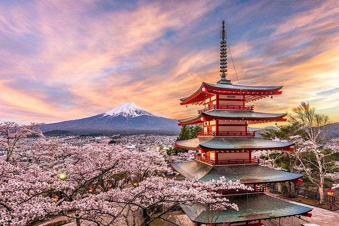 Chollo 8000 Especial Recopilación Viajes a Japón (Mayo-Febrero)