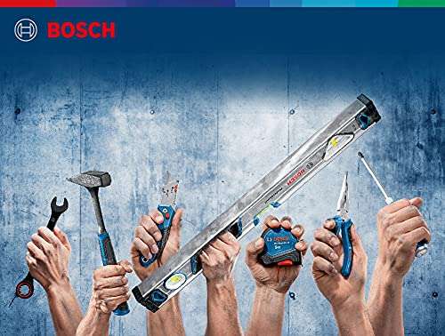 Bosch Professional 1600A016BN Nivel Magnético, longitud 25 cm, Burbuja de Doble Visión + Navaja universal plegable