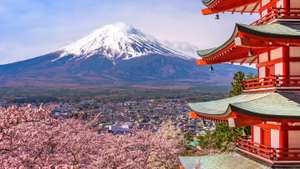 Japón: Osaka, Kioto y Tokio 9 Noches Hoteles 3* + Vuelos + Traslados + Seguros (PxPm2)(Enero)