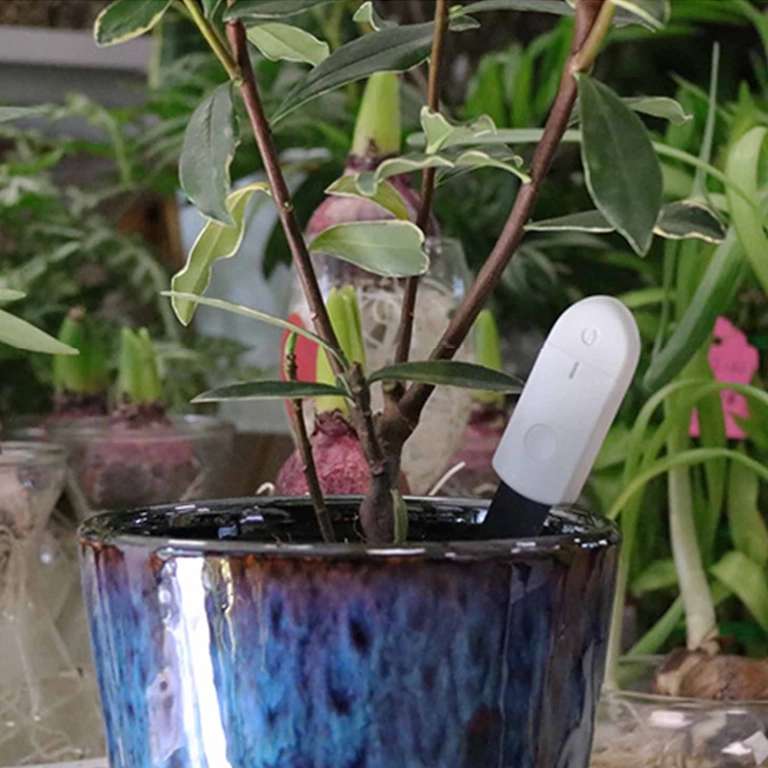 Sensor de humedad para plantas