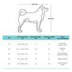 Amazon Basics – Transportín para mascotas abatible, transportable y suave de gran calidad, 91 cm, Gris