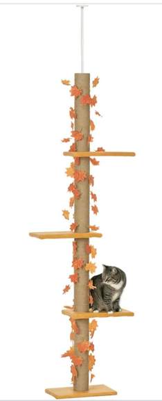 1958281-4ZPPT_1.jpg