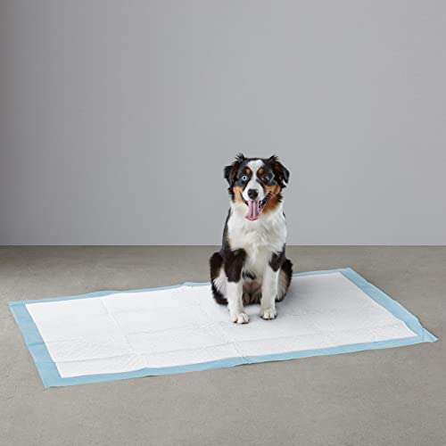 30 Almohadillas tamaño gigante de adiestramiento de perros y cachorros, diseño de 5 capas a prueba de fugas con superficie de secado rápido