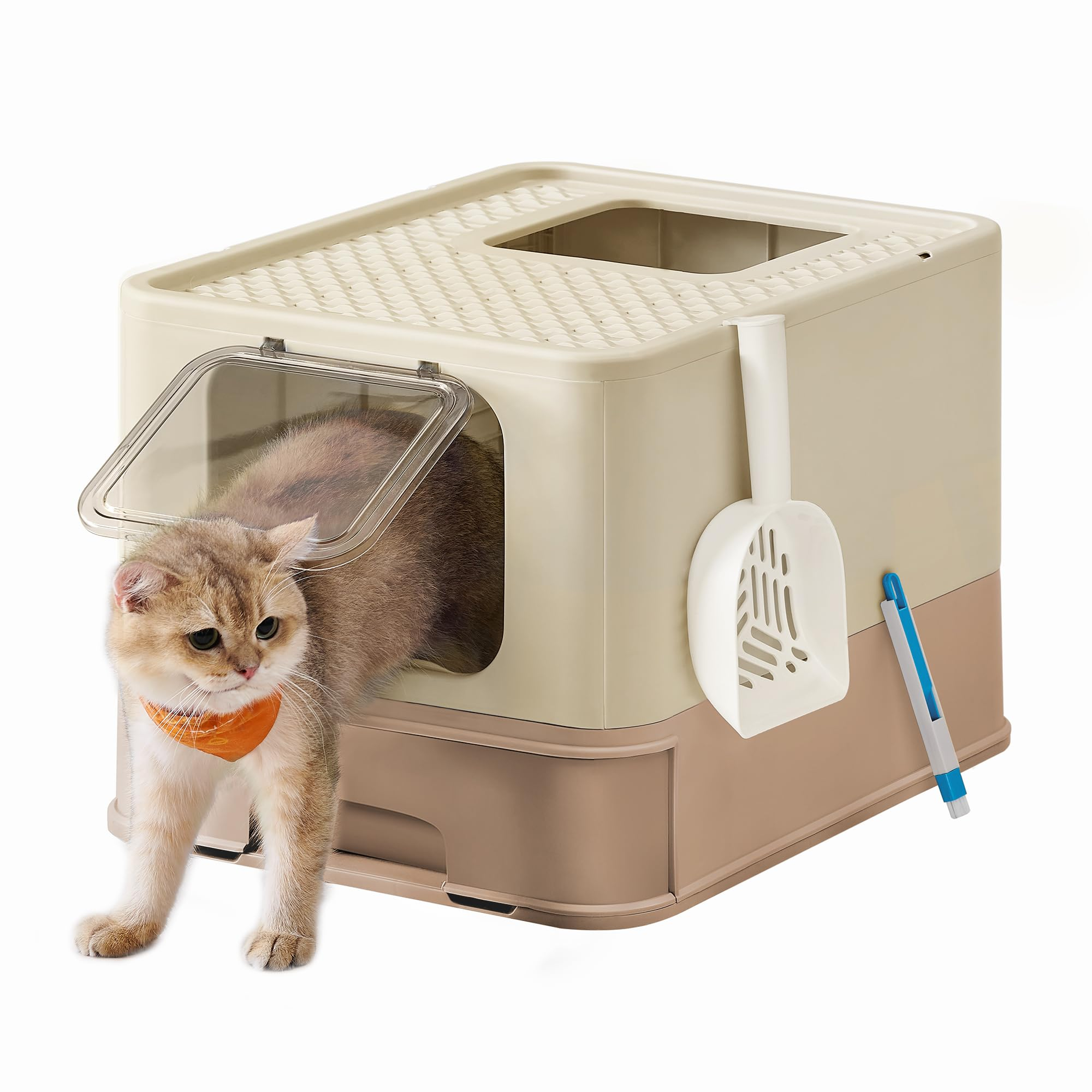 Arenero para gatos