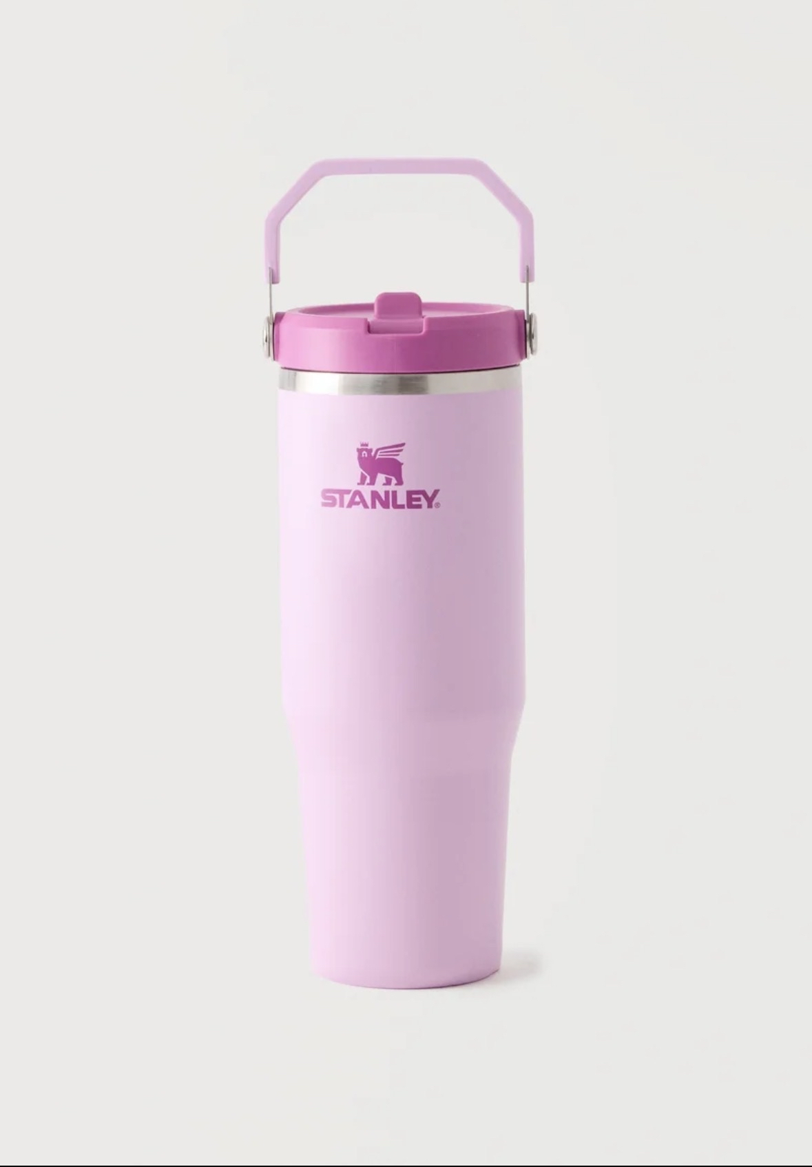 Stanley 1913 THE ICEFLOW FLIP STRAW 2.0 TUMBLER 0.89L