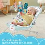 Fisher-Price- mecedora bebé (SIOC), Multicolor (Mattel HHG33)