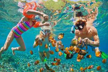 Imagen de Vacaciones en FAMILIA con Todo Inc