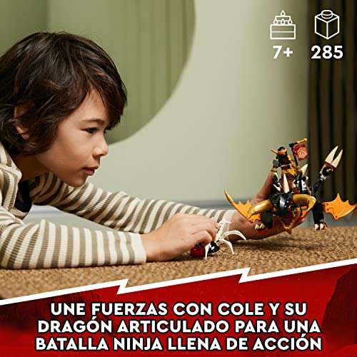 LEGO Ninjago Dragón de Tierra EVO