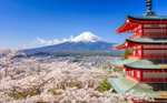 11 días por Japón ¡Tokio, Osaka, Kyoto y más! El paquete incluye vuelos, hoteles, traslados y seguro por 1198 euros! PxPm2 todo el año