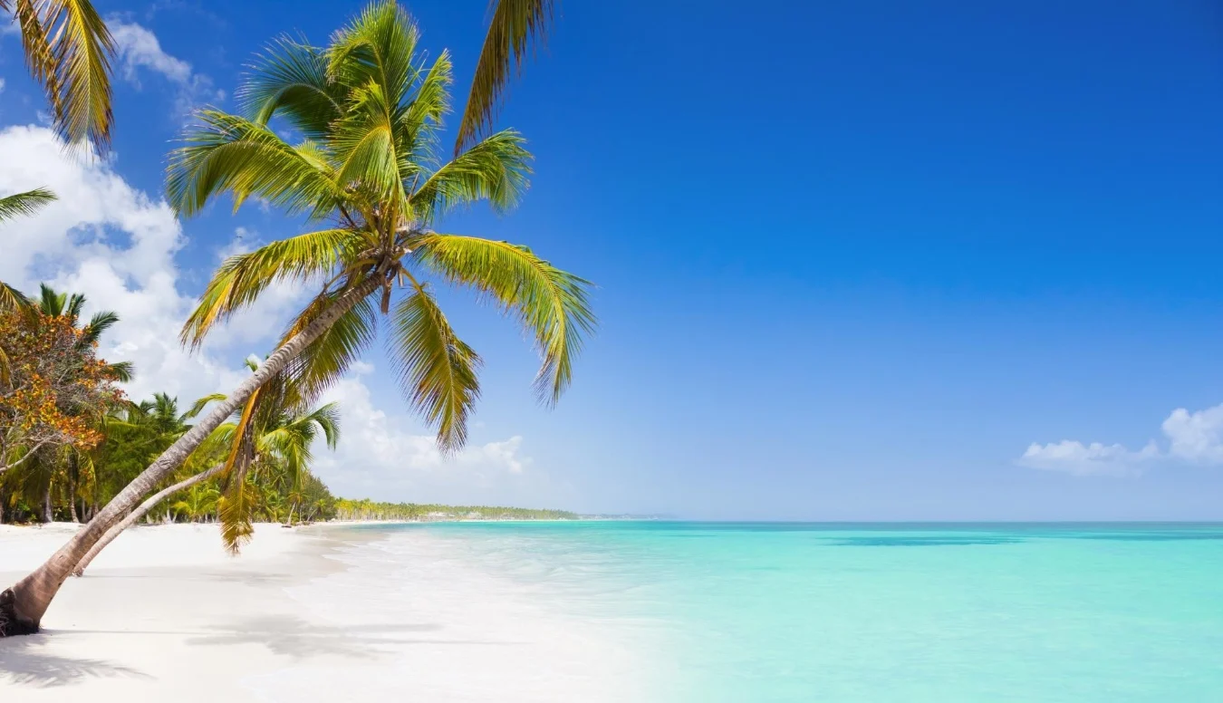 Punta Cana Vuelos + Todo incluido + Fiesta White Sunset 9 días / 7 noches