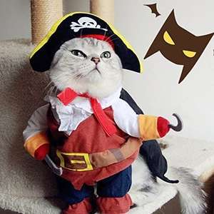 Disfraz de Pirata del Caribe para Mascotas - ¡Convierte a tu Gato o Perro en un Corsario!