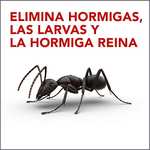 Paquete de 2 Raid Cebos - Trampa antihormigas, elimina la colonia de hormigas entera, efectivo en Interiores y Exteriores