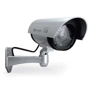 Cámara de vigilancia