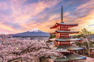 Semana Santa (2023) en !Tokio! Japón reabre sus fronteras 7 noches de Hotel 3* (Cancela gratis) + Vuelos por solo 956€ (PxPm2)