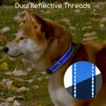 2× Collar Perro, Collar Nylon Reflectante Suave Acolchado , Ajustable con Cerradura de seguridad talla L, Azul