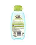 3x Garnier Original Remedies - Champú Hidratante Agua de Coco y Aloe Vera para Pelo Normal - 300 ml. 1'68€/ud