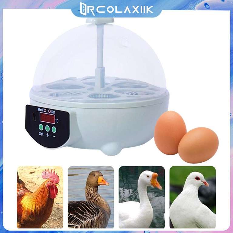 Mini incubadora de 6 huevos/incubadora Digital de aves de corral/Control de temperatura para pato