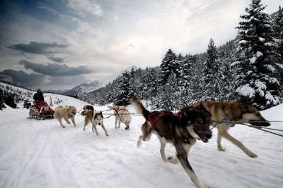 Ruta en Trineo de Nieve por las Montañas Andorranas con Hotel Incluido Desde 47€ PxP / Día