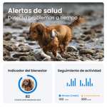 Tractive GPS perros localización en tiempo real en todo el mundo