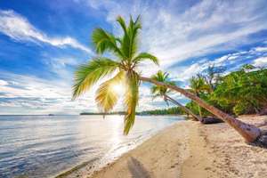 Punta Cana: RIU Naiboa 4* en verano ¡TODO INCLUIDO! 6 noches con cancelación gratis por solo 361€ (PxPm2)