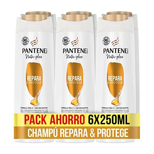 Pack 6 Pantene Champú Repara & Protege Nutri Pro-V, fórmula Pro-V + antioxidantes, para cabello débil y dañado, 250ML x 6