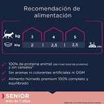 Alimento Húmedo Premium Rico en Salmón para Gatos de Edad Avanzada, 12 x 85 g