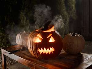 Especial Halloween: 3 Noches en 4* Oasis Park Pensión completa & acceso a SPA 127 persona