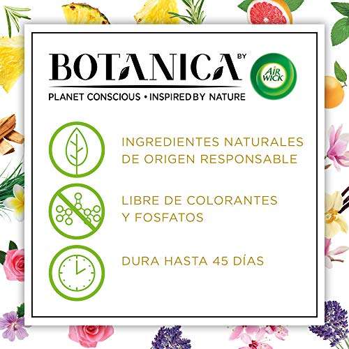 Botanica by Air Wick Varitas Perfumadas - Ambientador Mikados, Esencia Para Casa con Aroma a Vainilla y Magnolia del Himalaya - 80 ml