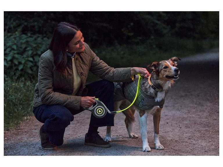 Imagen de Correa retráctil LED para perro (