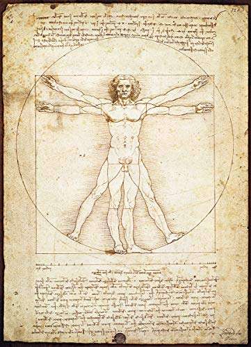 Puzzle 1000 Piezas - Leonardo da Vinci: El Hombre de Vitruvio