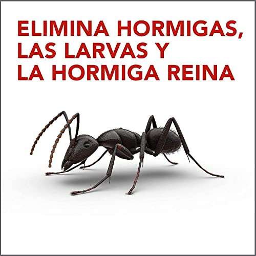 Raid Cebos - Trampa antihormigas, elimina la colonia de hormigas entera, efectivo en Interiores y Exteriores