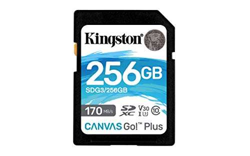 Kingston SDG3/256GB - Tarjeta de memoria SD
