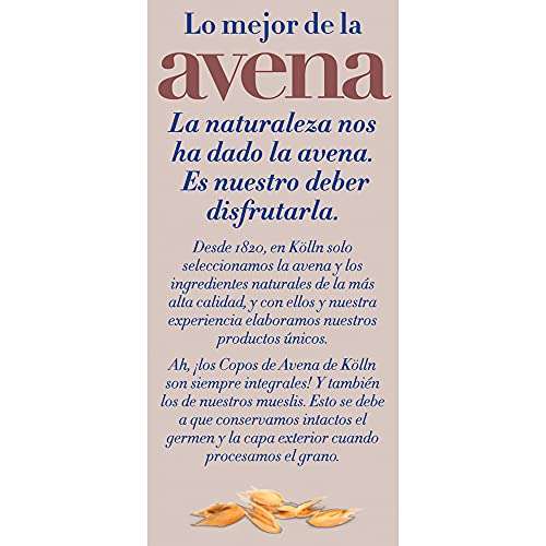 Kölln - Muesli de Avena con Chocolate y Avellanas, Cereales Integrales con Chocolate, Copos Finos, Alto Contenido de Fibra - 2 kg (C.R)