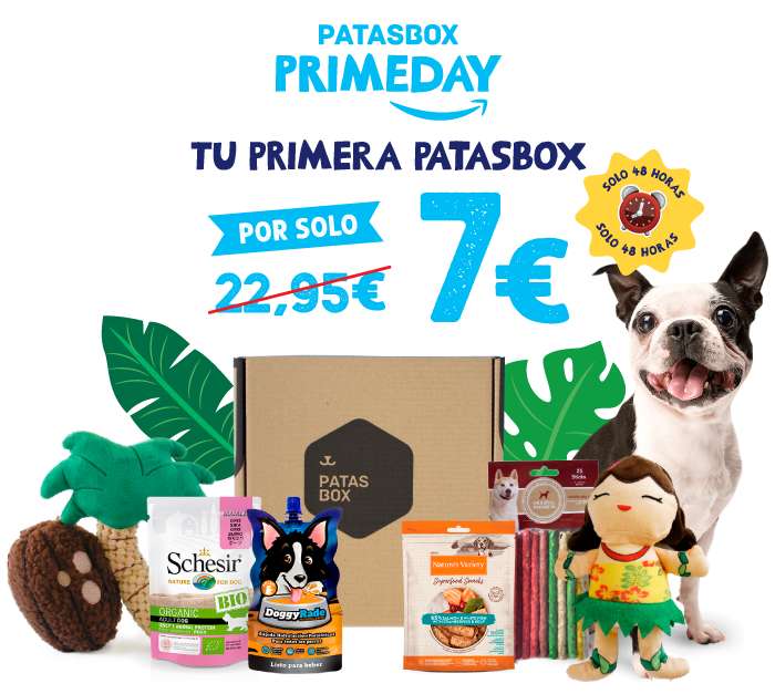 PATASBOX - Caja sorpresa para perros - 5 productos - 7€