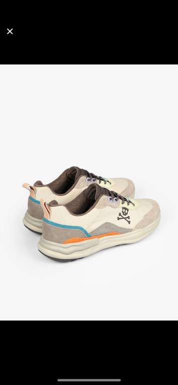 SCALPERS Sneakers colores calavera [Tallas 39 a 45] [Gastos de envío gratis]