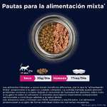 Alimento Húmedo Premium Rico en Salmón para Gatos de Edad Avanzada, 12 x 85 g