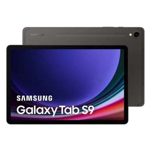 Samsung Galaxy Tab S9 WiFi 8/128GB Gris