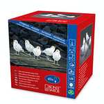 Pájaros de acrílico con luz LED, 5 unidades, 40 diodos de luz blanca fría, transformador exterior de 24 V