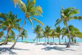 Punta Cana 7 noches Hotelazo 4*+ !Todo incluido! +traslados + seguro de viaje +Vuelos directos (PxPm2)(Mayo-Octubre)
