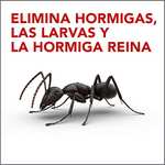 Raid Trampas antohormigas. Elimina la colonia de hormigas entera. Efectivo en Interiores y Exteriores. 2 Packs
