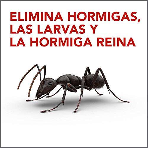 Raid Trampas antohormigas. Elimina la colonia de hormigas entera. Efectivo en Interiores y Exteriores. 2 Packs