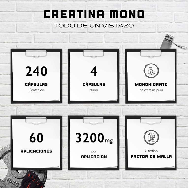 Creatina – 240 cápsulas veganas – Alta dosis de 3200 mg de creatina monohidrato por día – Premium: Ultrafina + factor de malla de 200