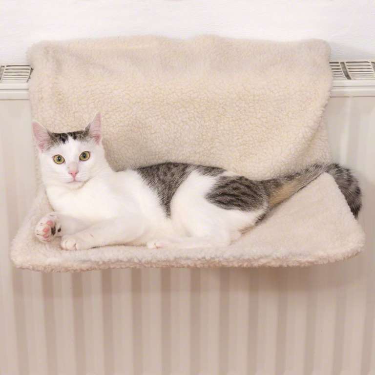 Hamaca para el radiador Relax para Gatos