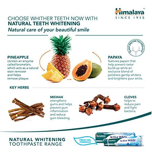 Himalaya - Gum Expert Herbal Toothpaste - Active White Fresh Gel (3 Pack) Compra Recurrente