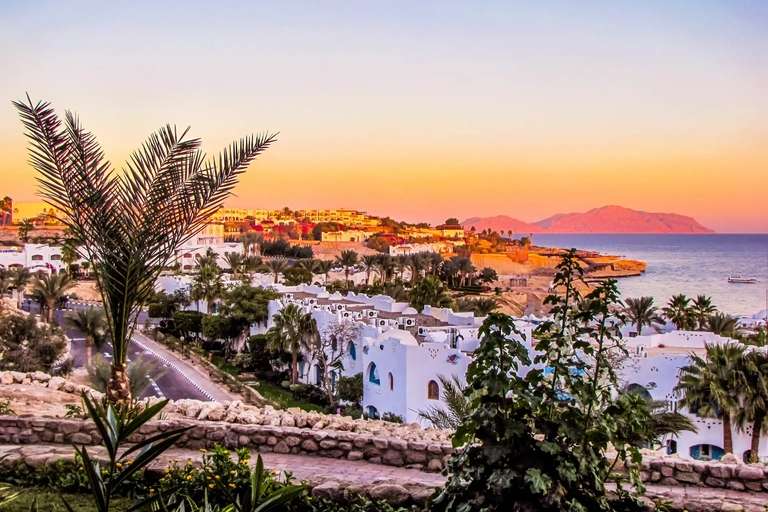 SHARM EL SHEIKH |Vuelos directos 7 noches Hotel 5* TODO INCLUIDO + Tour en Sharm Traslados, Seguro y Tasas 655€/pax [julio-agosto]